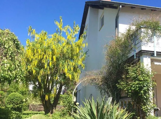 Apartment Schwarz Mayen